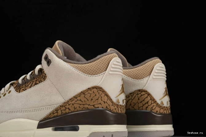   CT8532-102 Palomino Jordan 3 Retro 0323